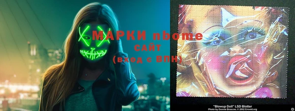 крисы Инта