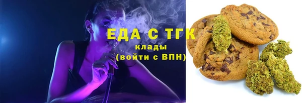 крисы Инта