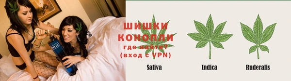 крисы Инта