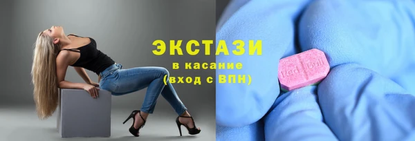 крисы Инта