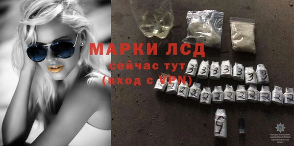 крисы Инта