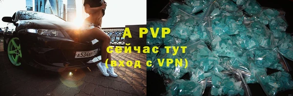 крисы Инта