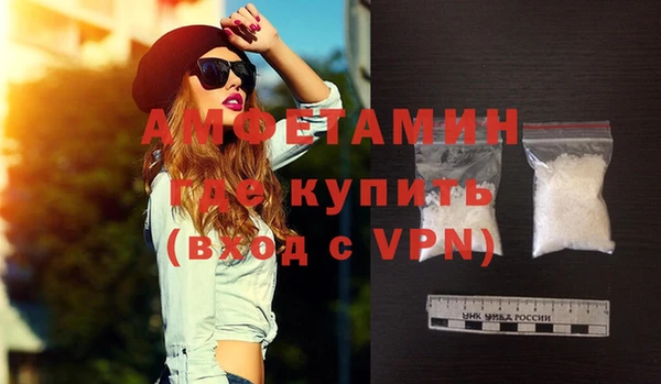 крисы Инта
