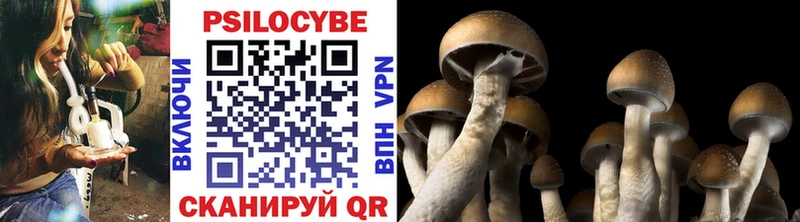 Псилоцибиновые грибы ЛСД  Северск 